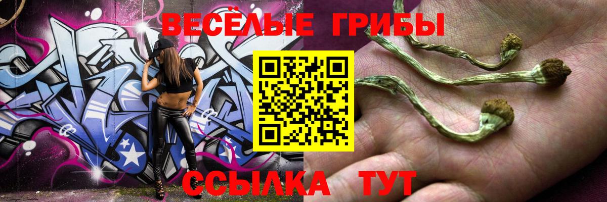 Псилоцибиновые грибы MAGIC MUSHROOMS  Галлюциногенные грибы Psilocybe  Вход с VPN  Нальчик 