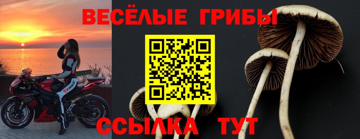 Галлюциногенные грибы MAGIC MUSHROOMS Нальчик